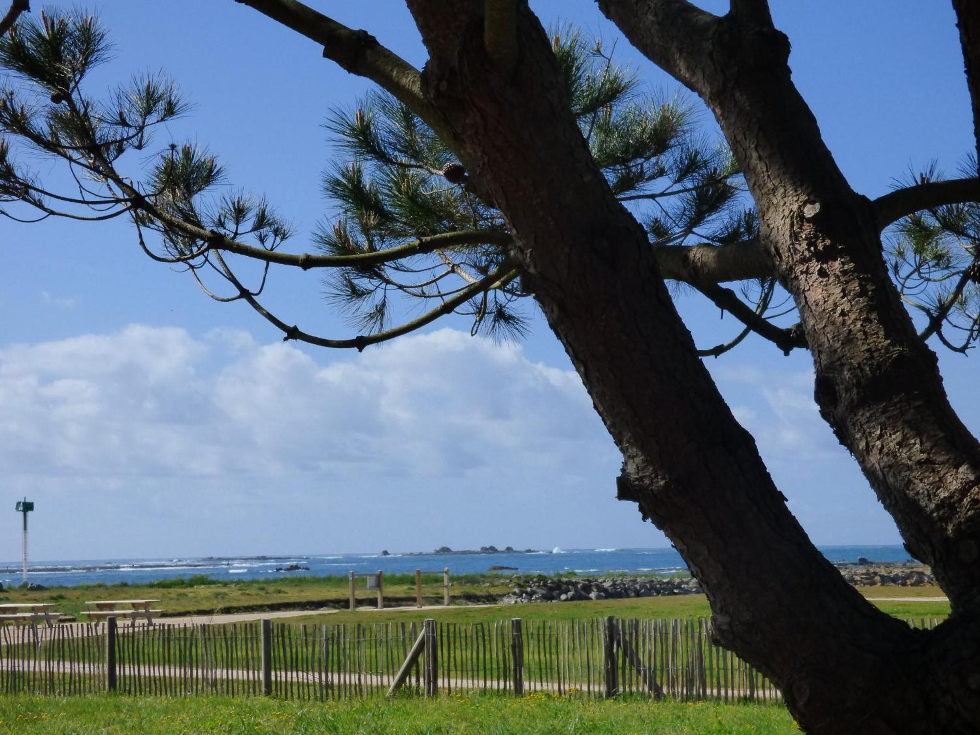 Appart-Studios Vue Mer Panoramique St Guenole Cote Mer Penmarch Room photo